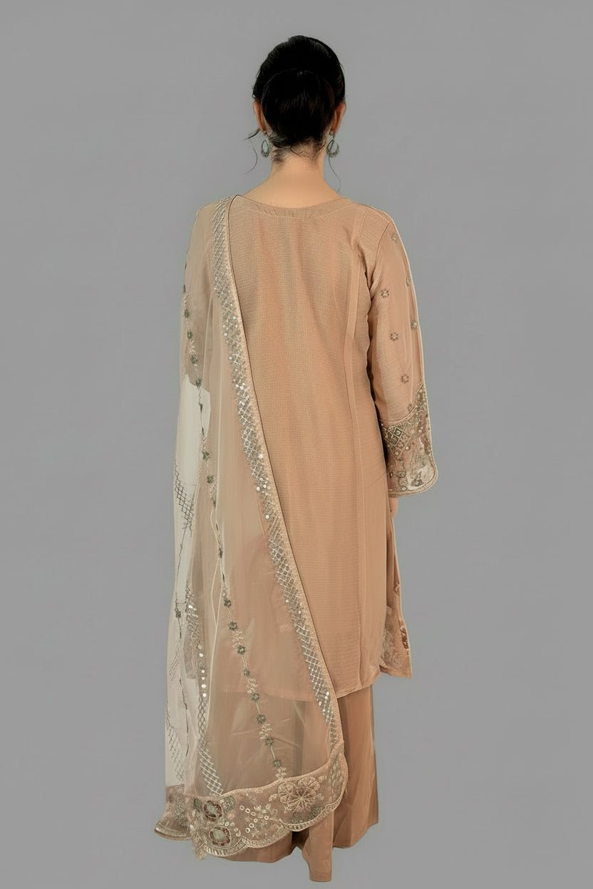 SEERAT  Blush Luxury Embroidered Set  With Palazzo back 