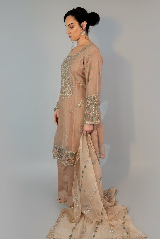 SEERAT  Blush Luxury Embroidered Set  With Palazzo side view 