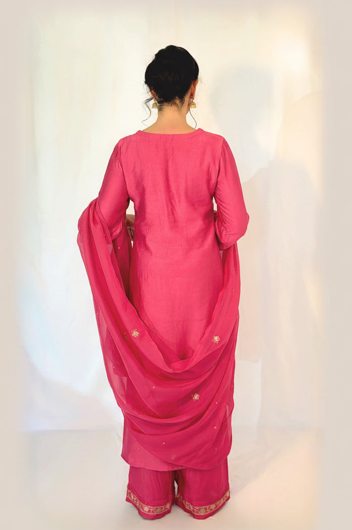 SIMRAN Silk Blend Embroidered Palazzo Suit Set  back 